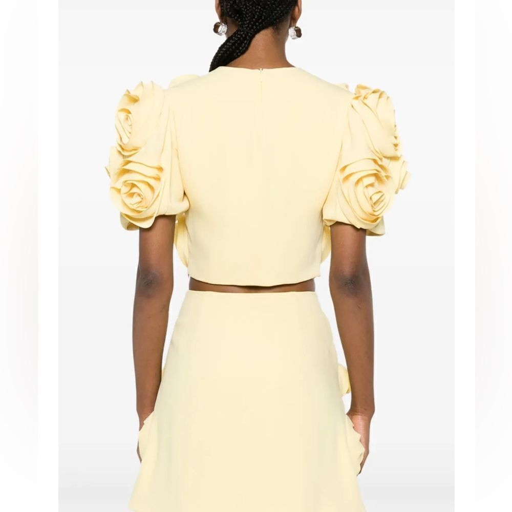NWT Luxe Dress Rose-appliqué Cropped Top / Skirt Set In Gelb Yellow Large - Picture 4 of 16